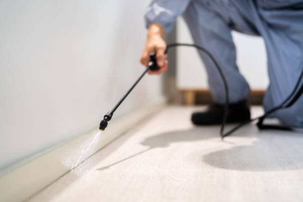 Licensed Mosquito Control service in Baltimore, MD - Show Me Pest Control