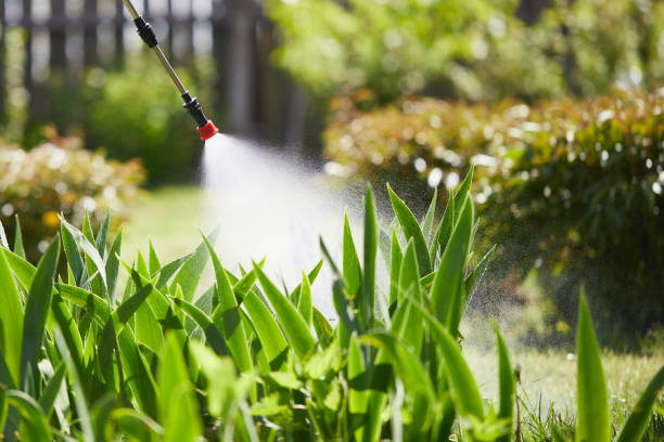 24/7 Emergency Mosquito Control experts in Baltimore, MD