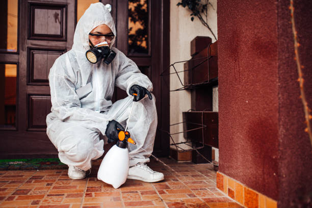 Reliable Mosquito Control contractor in Baltimore, MD by Show Me Pest Control
