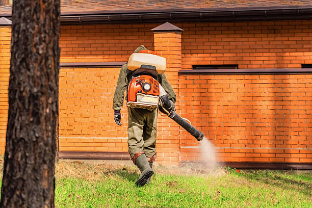 Top rated local Mosquito Control specialists in Baltimore, MD